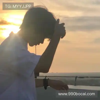 王政磊